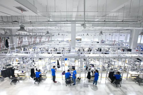 為什么時尚服裝行業需要程序員